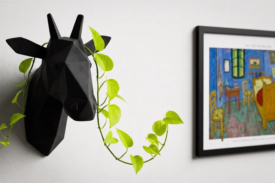 Cabeza de venado geométrica en negro sobre la pared blanca, junto a una lámina